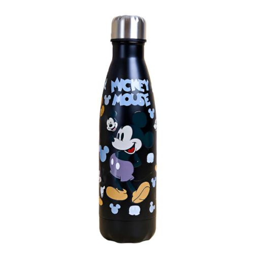 DISNEY Stainless Steel Water Bottle